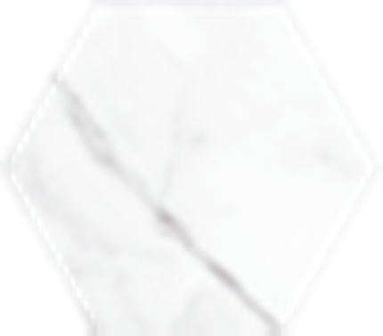 Art Mosaic Carrara 15x17,5 / 6” Artisan Hexagon Glossy Duvar Karosu