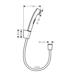 HansGrohe Bidette El Duşu 1 Jet, Duş Askısı Ve 125 Cm Duş Hortumu İle - 32129000 - 2